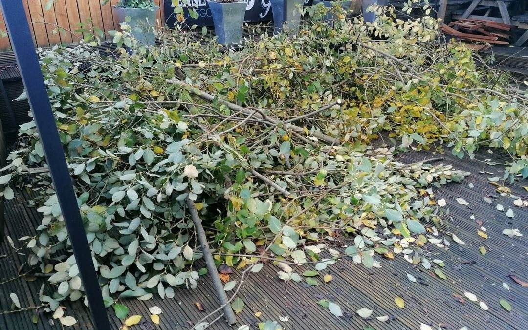 Pile of garden cuttings and branches on decking ready for removal