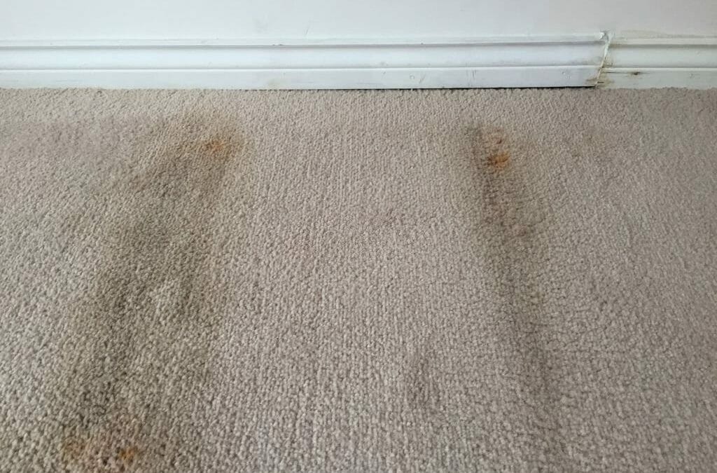Glasgow Carpet Disposal Guide: How to Get Rid of Old Carpet and Underlay