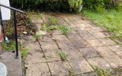 Patio garden with weeds and overgrown shrubs before a garden clearance